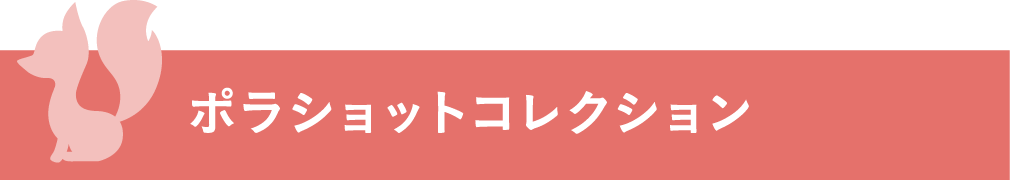 ポラショットコレクション