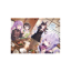 二層アクリルパネル